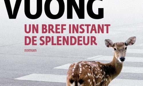 Un bref instant de splendeur de Ocean Vuong