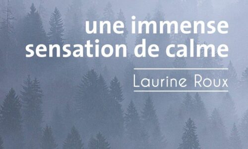 Une immense sensation de calme de Laurine Roux